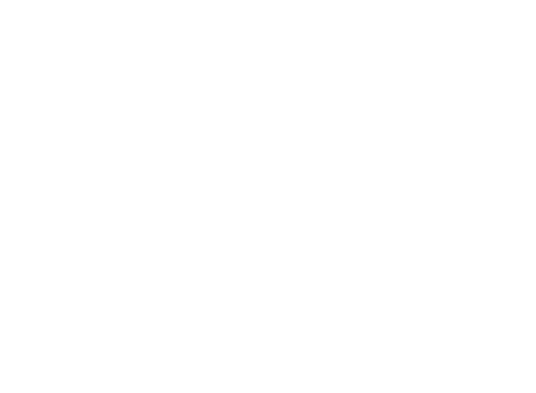 CPFL Energia White