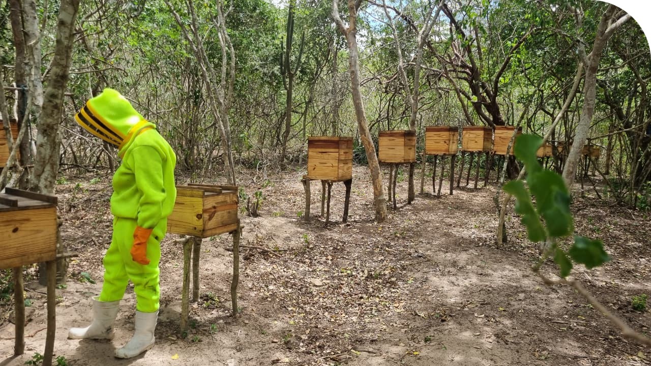 Texto alternativo Quintais Mendonça
