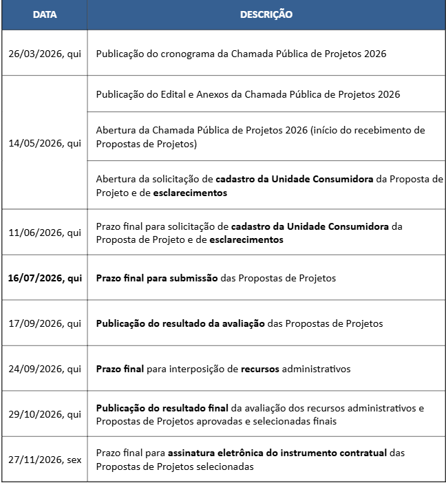 publicação cronograma
